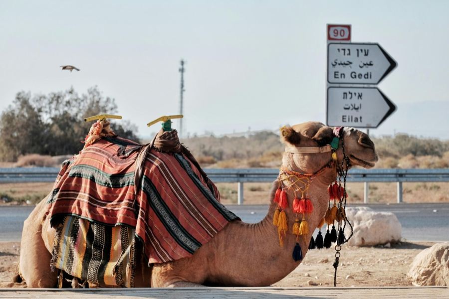 Desert road sign with Hebrew place names